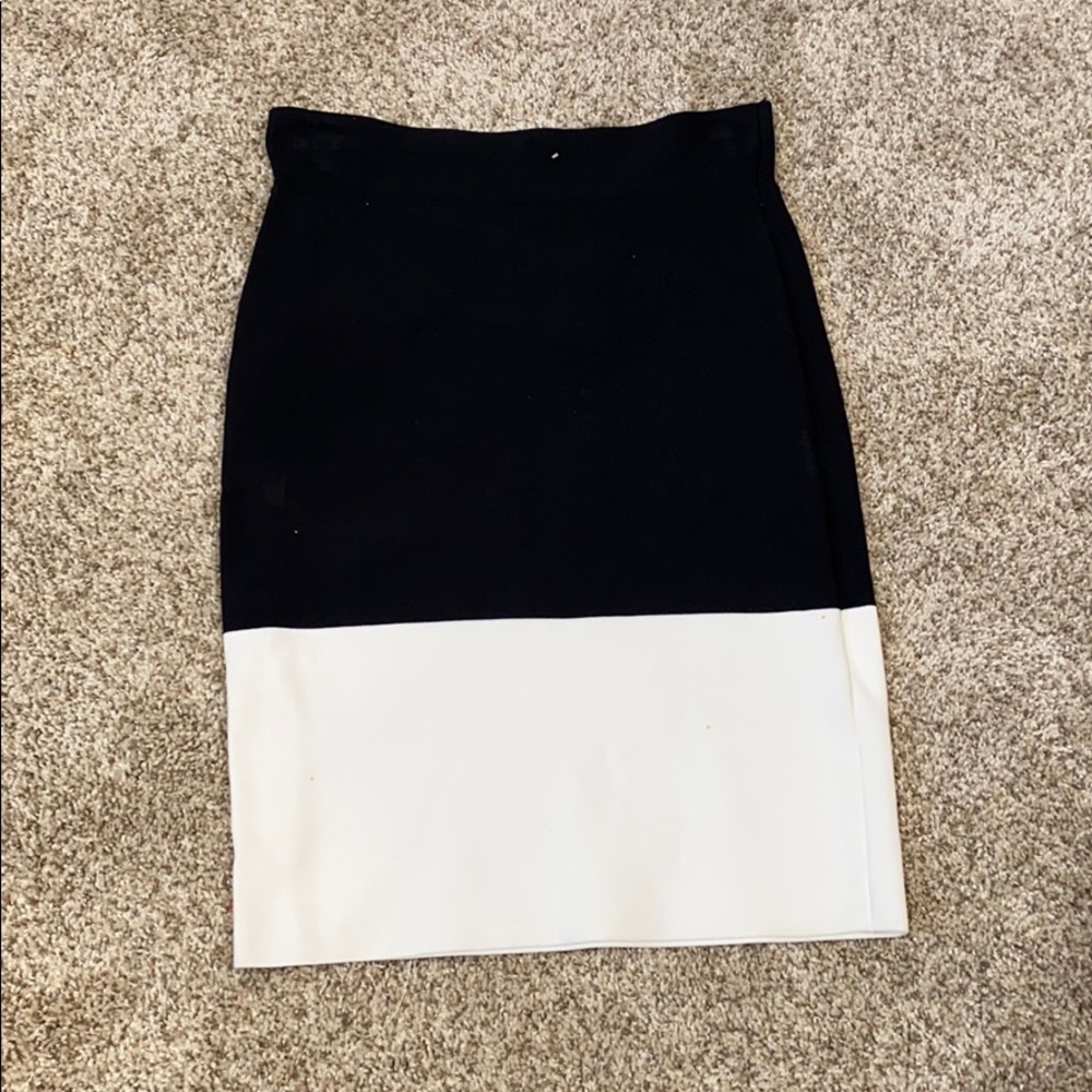 BCBG Colorblock Skirt
